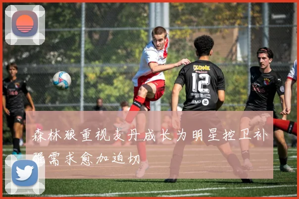 森林狼重视麦丹成长为明星控卫补强需求愈加迫切